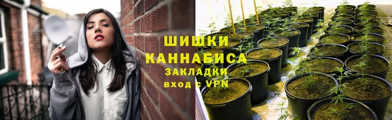 Шишки марихуана гибрид  как найти наркотики  hydra ссылки  Усть-Лабинск 